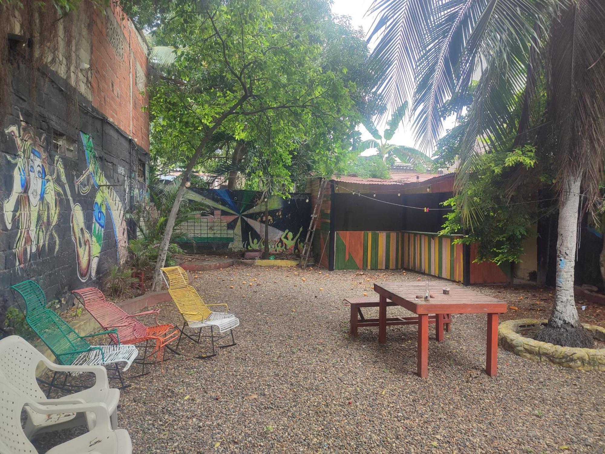Palmeras 17 *