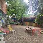 Hostal Palmeras 17