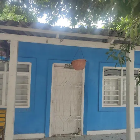 Palmeras 17 Cartagena