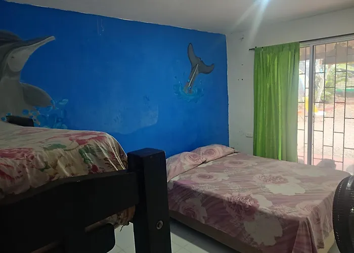 Hostal Palmeras 17